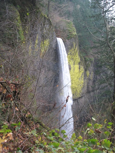 11.18.06 Latourell Falls 057 